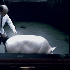 Cameron in stranger than fiction pig sex scandal – David Baldelli